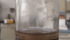 badania laboratoryjne - fotografia szklanej butelka z osadem do inkubacji