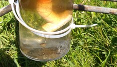 zakumulowany osad w pułapce sedymentacyjnej